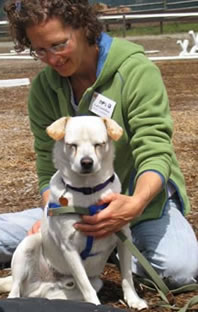 Companion Animal Trainings