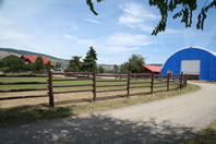 The Icelandic Horse Farm