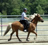 Jor and Robyn demonstrate an easy tölt on a loose rein.