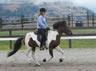 Undri, moving happily, into a relaxed and easy canter.