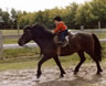 Mandy riding Borkur at age three.