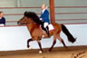 Susan Hodgson riding Lettir at a Gaited Horse Show at Thunderbird Equestrian Center in 1990.