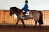 Sleipnir and Mandy during their first horse show, both age 7.